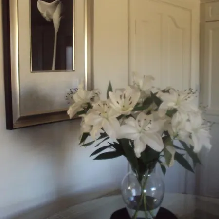 Shannonside Studios Bed & Breakfast 3*