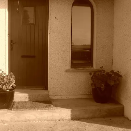 Shannonside Studios Bed & Breakfast