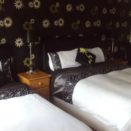 Shannonside Studios فندق مبيت وإفطار 3*